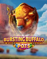 Bursting Buffalo Pots