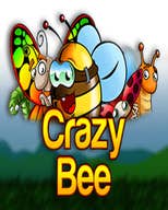 Crazy Bee