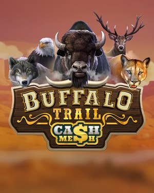 Buffalo Trail Ultra