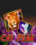 Cat Peak 94