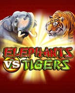 Elephants vs Tigers