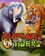 Elephants vs Tigers