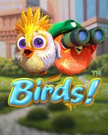 Birds