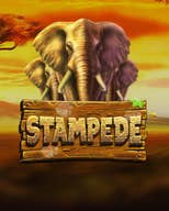 Stampede