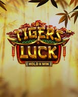 Tiger's Luck - Hold & Win