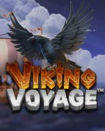 Viking Voyage