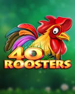 40 Roosters