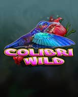Colibri Wild