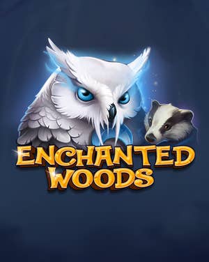 Enchanted Woods