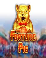 Fortune Pig