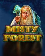 Misty Forest