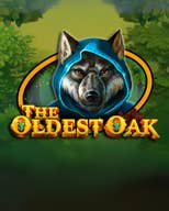 The Oldest Oak