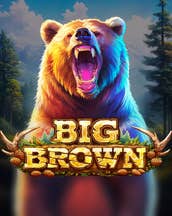 Big Brown