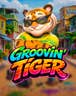 Groovin' Tiger