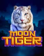 Moon Tiger