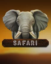 Safari