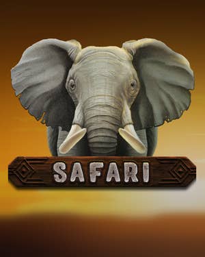Safari