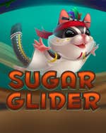 Sugar Glider