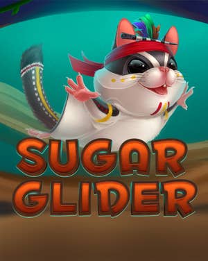 Sugar Glider