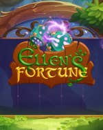Ellen's Fortune