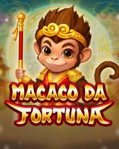 Macaco Da Fortuna