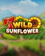 Wild Sunflower