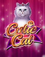 Cutie Cat