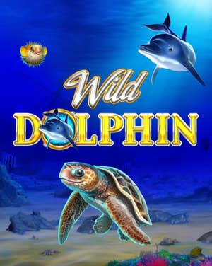 Wild Dolphin