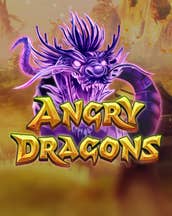 Angry Dragons