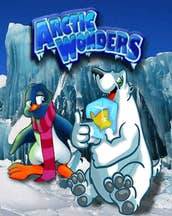 Arctic Wonders