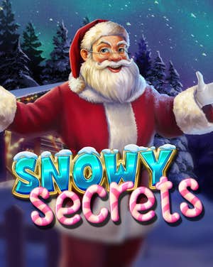 Snowy Secrets