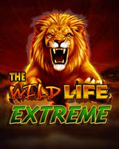 The Wild Life Extreme!
