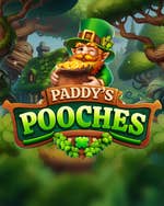 Paddy's Pooches