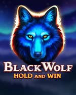 Black Wolf