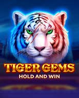 Tiger Gems Hold and Win