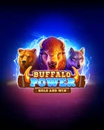 Buffalo Power: Hold and Win