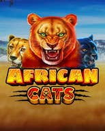 African Cats