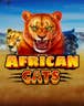 African Cats