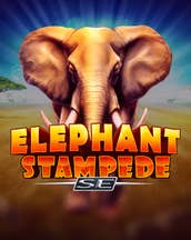 Elephant Stampede SE