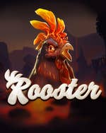 Rooster