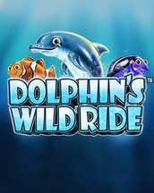 Dolphin's Wild Ride