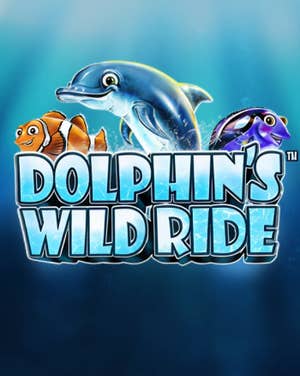 Dolphin's Wild Ride