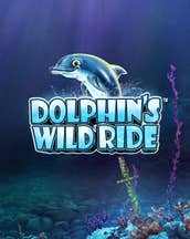 Dolphin's Wild Ride