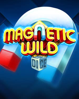 Magnetic Wild Dice