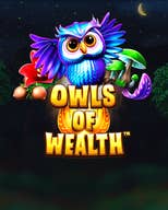 Owls Of Wealth