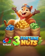 3 Fortune Nuts