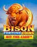 Bison Fortune Coins