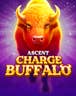 Charge Buffalo - Ascent