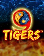 9 Tigers