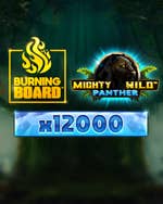 Mighty Wild: Panther Diamond Burning Board
